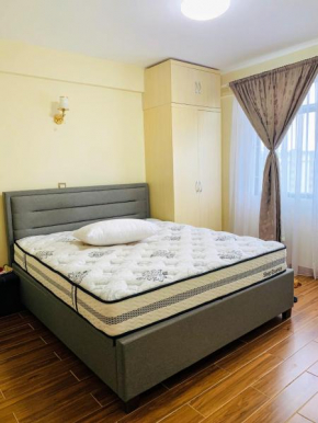 Kilimani view apartment